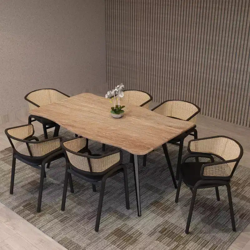 Lot de 2 chaises de salle à manger en rotin tressé avec assise en cuir et structure en acier noir