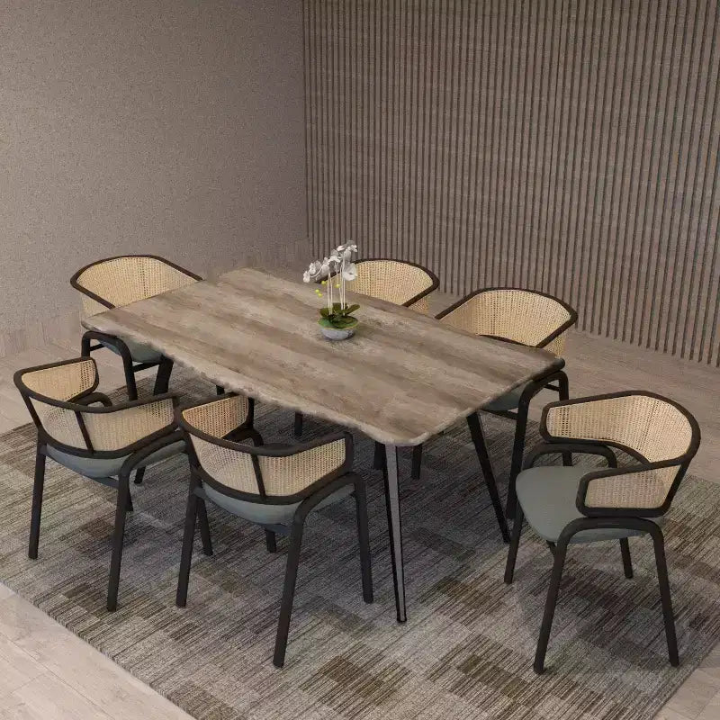 Lot de 2 chaises de salle à manger en rotin tressé avec assise en cuir et structure en acier noir