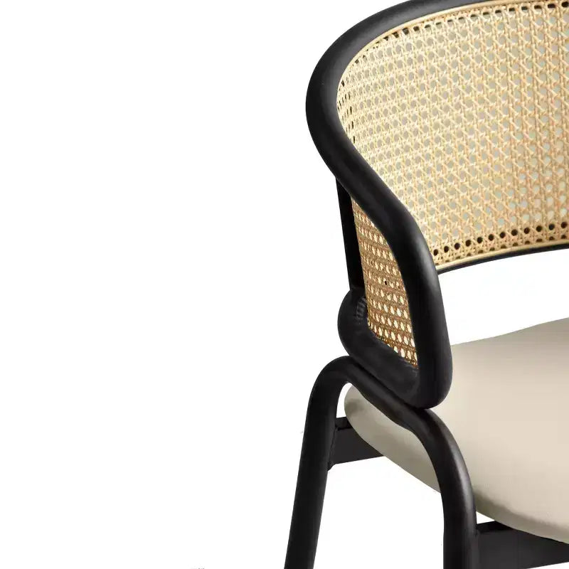 Lot de 2 chaises de salle à manger en rotin tressé avec assise en cuir et structure en acier noir